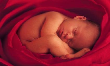 HOY NOS UNIMOS A LA CELEBRACIÓN DE NUESTRA RAZÓN DE SER: LOS NIÑOS Y NIÑAS HOY NOS UNIMOS A LA CELEBRACIÓN DE NUESTRA RAZÓN DE SER: LOS NIÑOS Y NIÑAS
